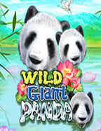 สูตร เฮีย เสือทดลอง เล่น ค่าย joker ที่ไม่ควรพลาด